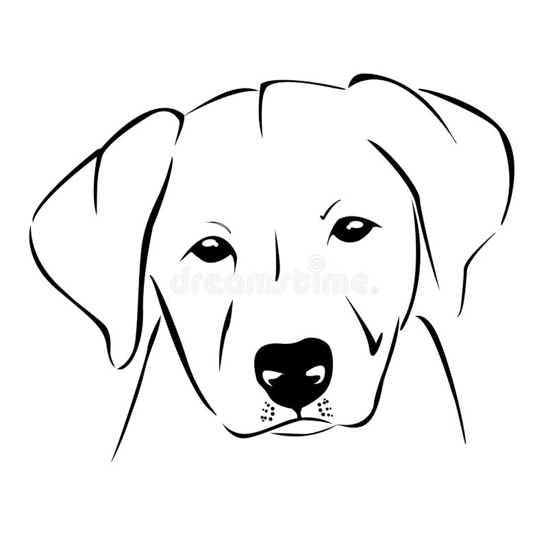 Cute Puppy Sketch Illustration Stock Illustration - Illustration of ...