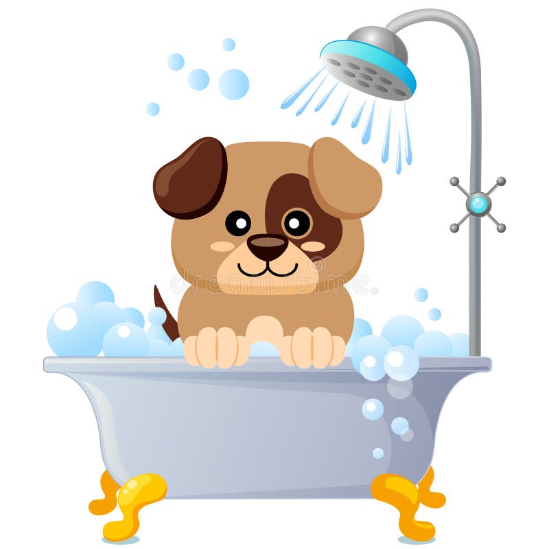Puppy bath. stock vector. Illustration of bathe, health 15055854