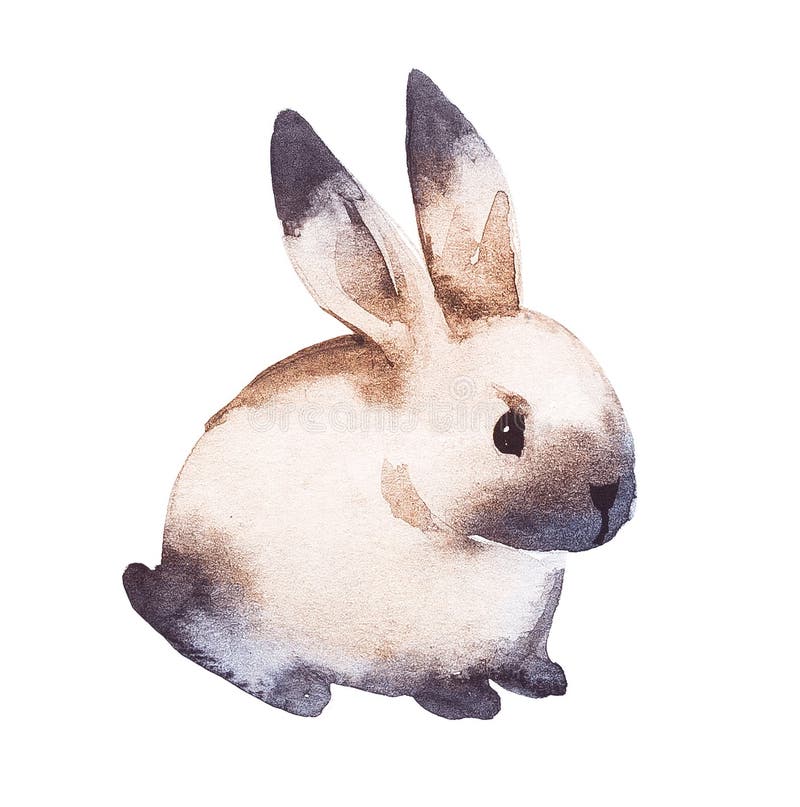 Cute Rabbit. Watercolor Hand Drawing Illustration. Stock Illustration