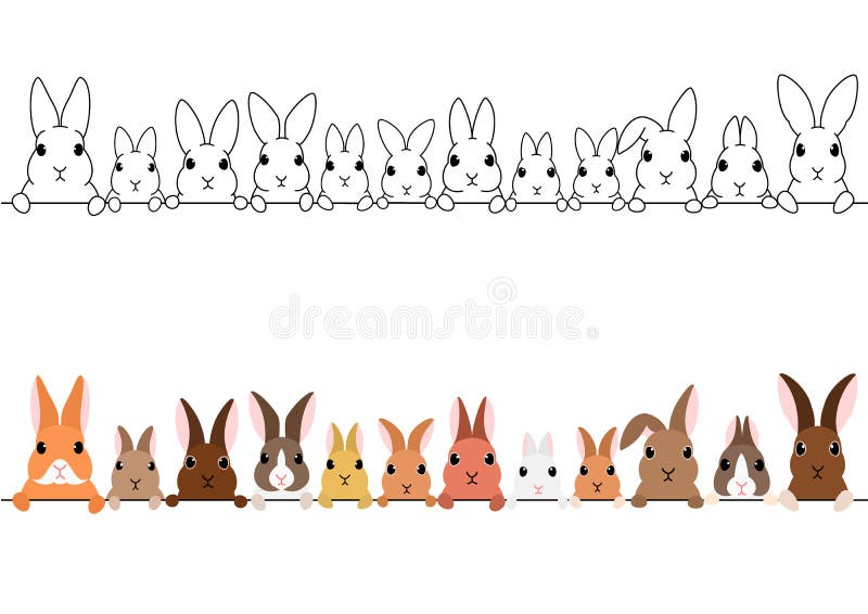 Bunny Border