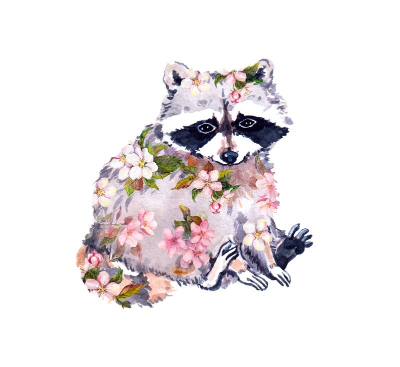 Cute Raccoon Animal Flowers Watercolor Spring Illustration Stock Photos ...