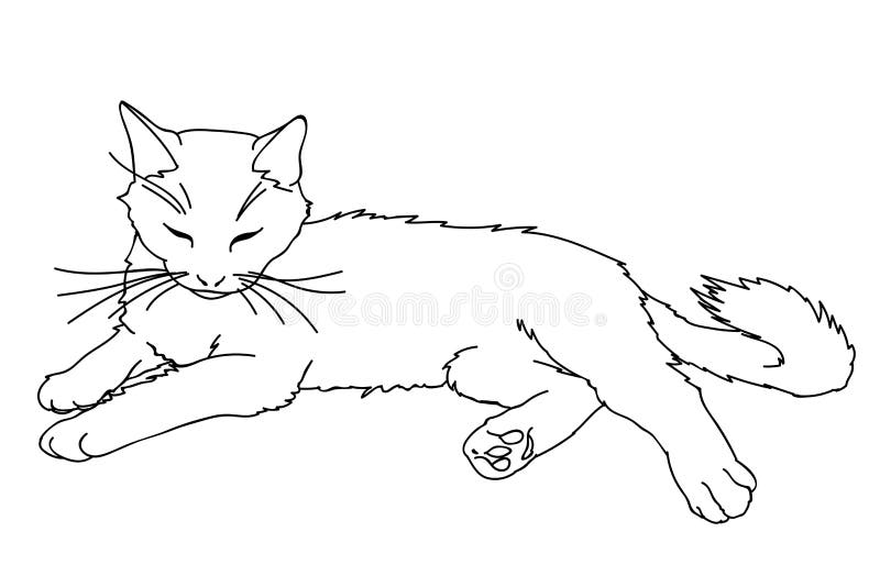 Cat Laying Down Drawing Reference - Sheilase Wallpaper