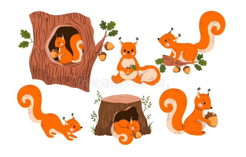 Cute Red Squirrel stock vector. Illustration of pose - 226555782 Cute Red Squirrel stock vector. Illustration of pose - 226555782
