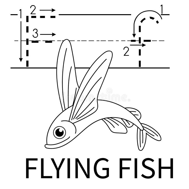 Flyingfish Stock Illustrations – 48 Flyingfish Stock Illustrations