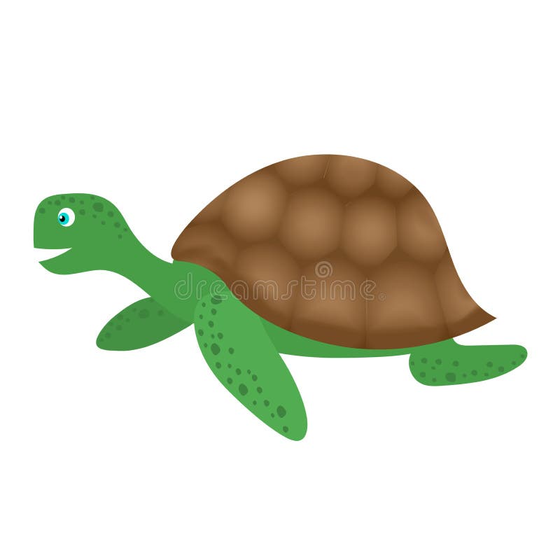 Cute Sea Turtle on White Background. Cartoon Illustration Stock Vector -  Illustration of terrapin, tortoise: 214006564