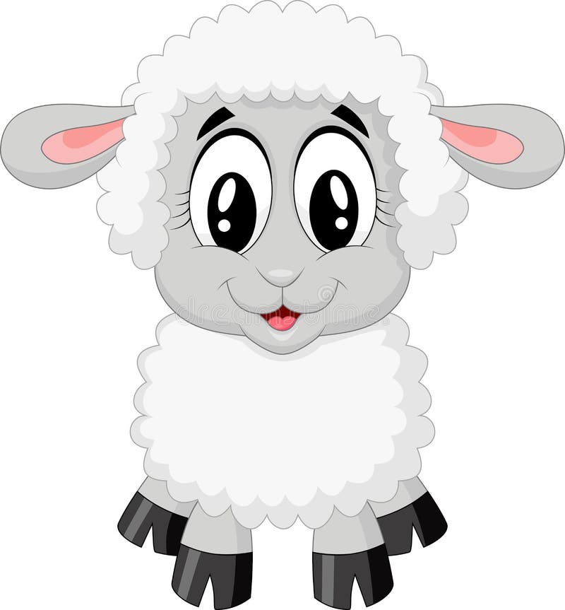  Cute  sheep  cartoon  stock vector Illustration of sheep  