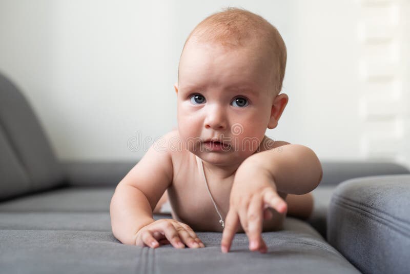 Cute Smiling Baby on a Gray Couch Stock Image Image of diaper, body
