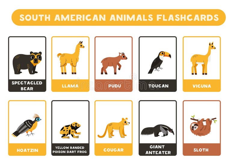 South American Animals Stock Illustrations – 744 South American Animals