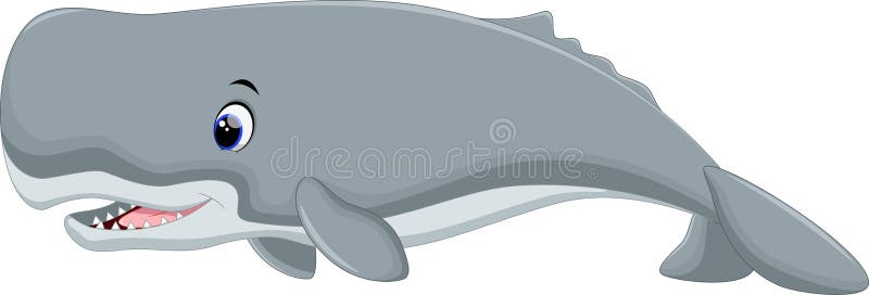 Cute sperm whale cartoon stock illustration. Illustration of mammal -  55468540