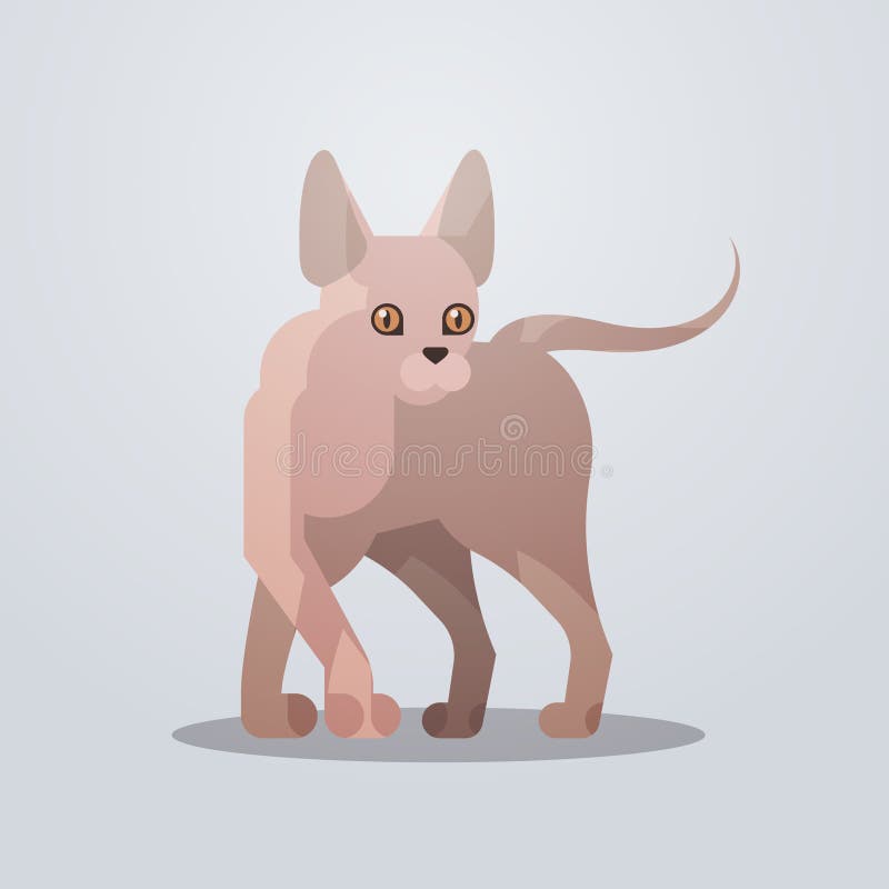 Cute sphinx cat icon adorable cartoon animal domestic kitty home pet concept flat full length
