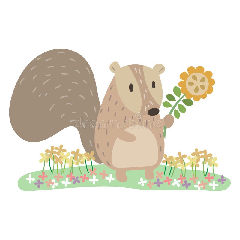 Squirrel and Sunflower