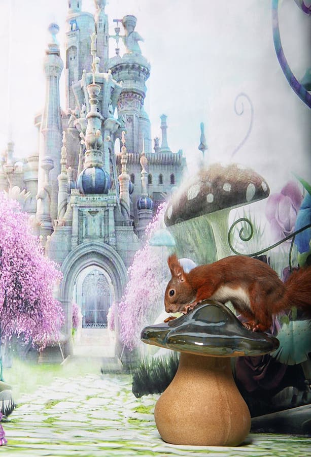 Cute Squirrel stock photo. Image of squirrel, castle 85515604