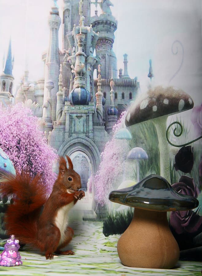 Cute Squirrel stock image. Image of cute, castle, brown 85515761