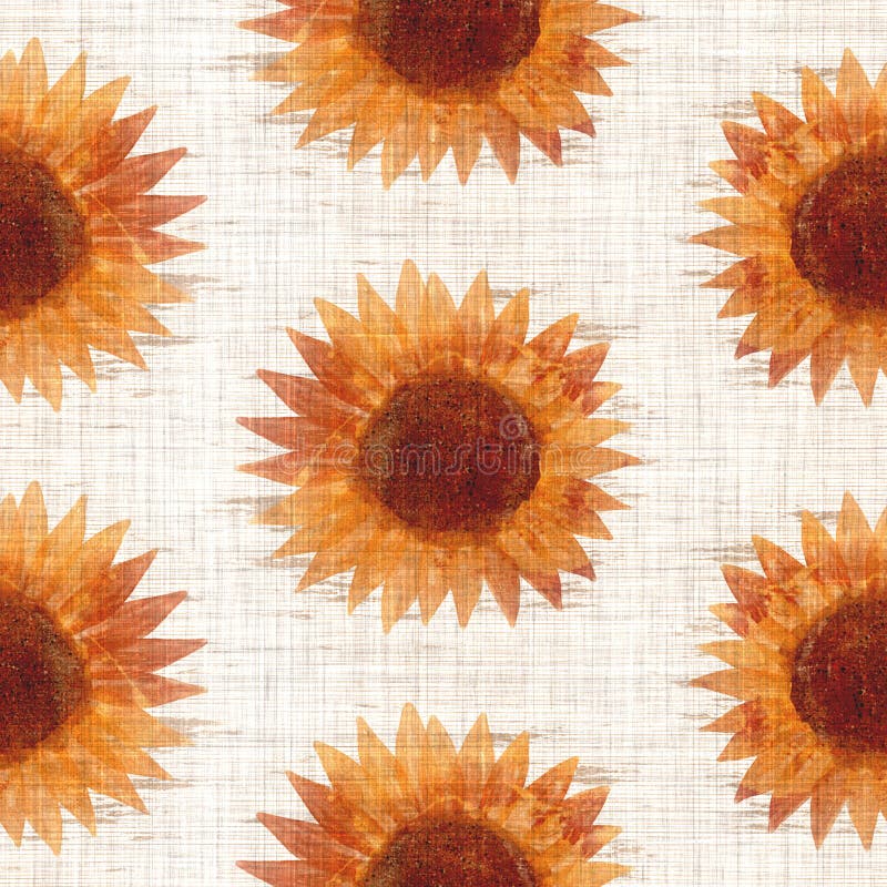 Download Sunflower Scrapbook Paper Photos Free Royalty Free Stock Photos From Dreamstime