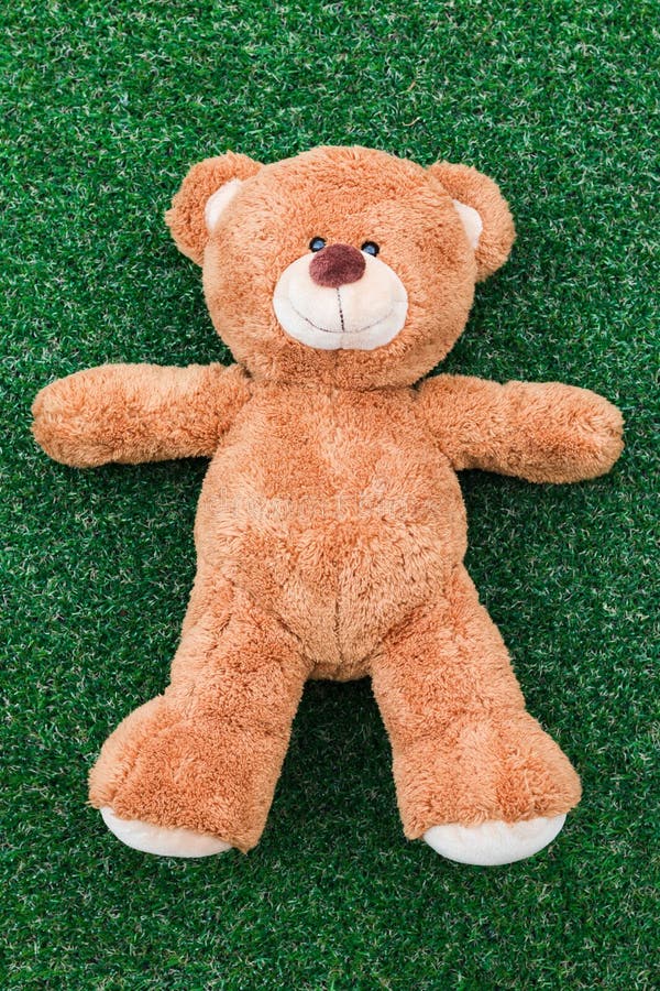 69,610 Cute Teddy Bear Stock Photos Free & RoyaltyFree Stock Photos