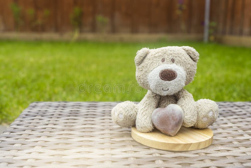 teddy bear holding chocolate