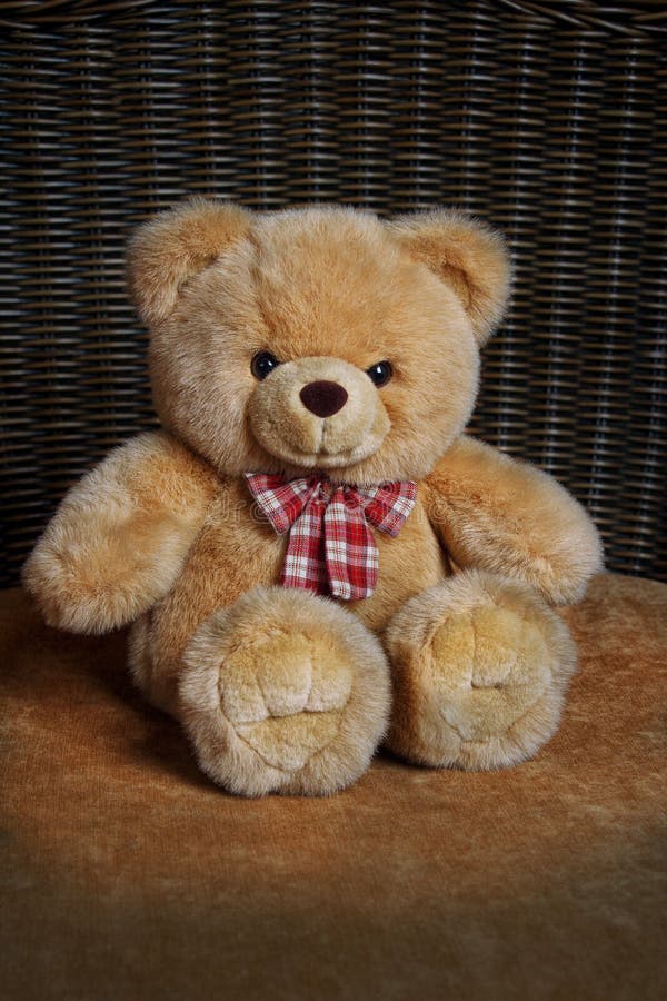 Cute Teddy Bear with Red Bow Stock Photo Image of sitting, brown