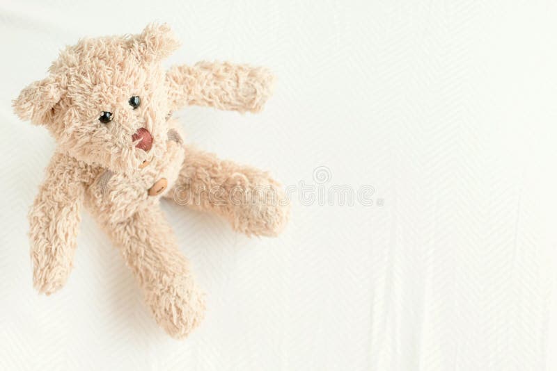 Cute Teddy Bear on White Color Background Stock Photo Image of