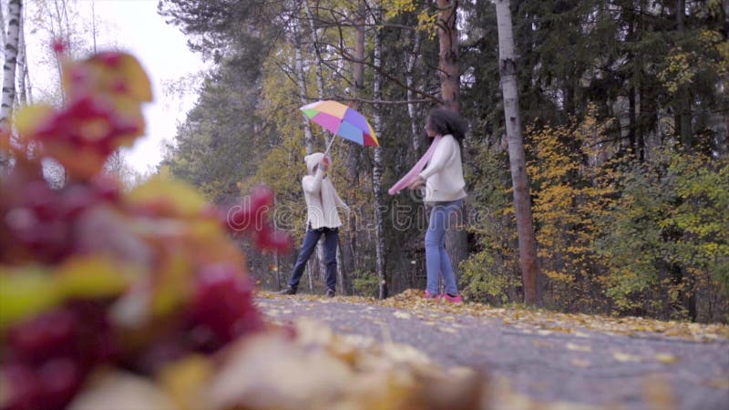 Cute Teen Girls Playing in Autumn Forest with Umbrellas Stock Footage - Video of family, pretty: 82336234