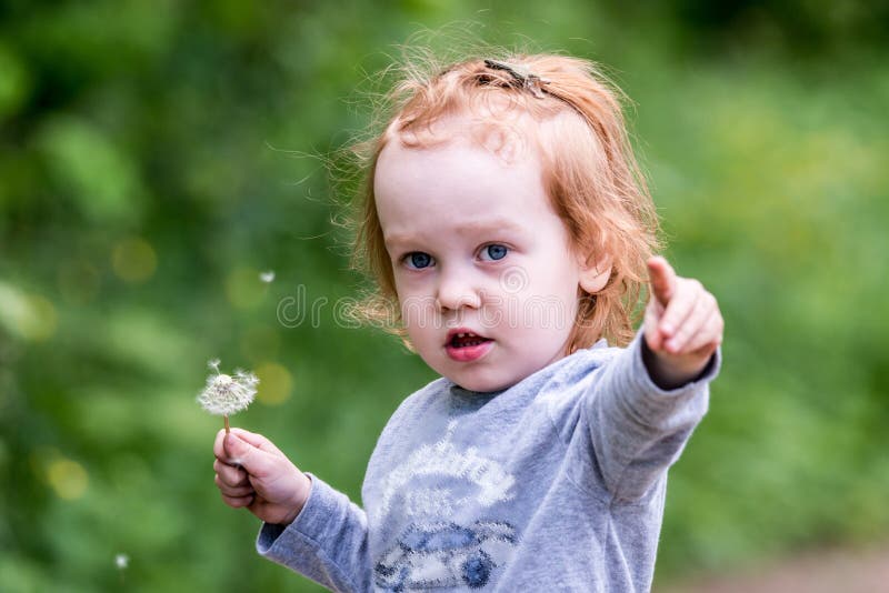 Cute Toddler Child in Nature Portrait Caucasian White Long Hair Stock Photo - Image of male, seeds: 207027614 Cute Toddler Child in Nature Portrait Caucasian White Long Hair Stock Photo - Image of male, seeds: 207027614