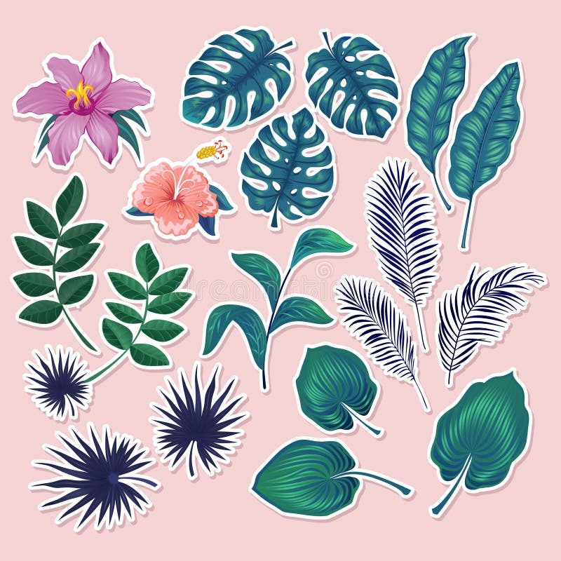 Cute tropical stickers and labels on blush pink background. Summer set of leaves and flowers royalty free illustration Cute tropical stickers and labels on blush pink background. Summer set of leaves and flowers royalty free illustration