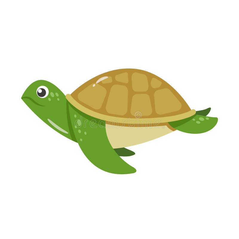 Cartoon River Turtle Stock Illustrations 553 Cartoon River Turtle