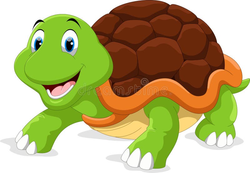 Cute turtle cartoon