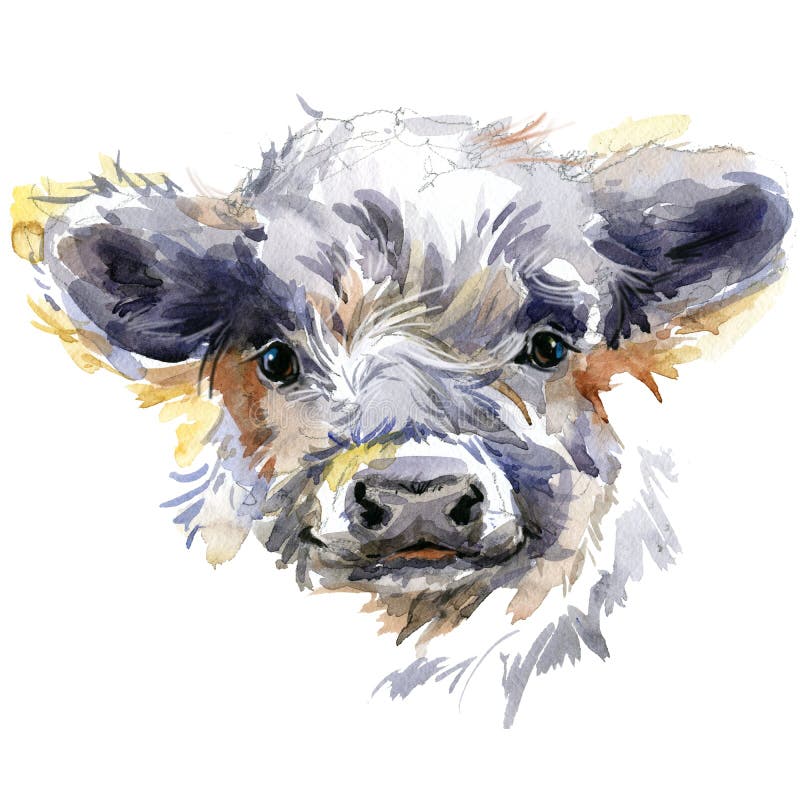 Cute watercolor calf. Baby bull illustration. cattle. farm animal. stock photos