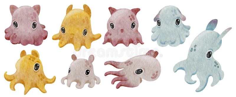 Dumbo octopus