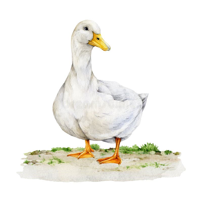 I Love Ducks T Shirt - Farmer Vintage Crazy White Fowl I Love Ducks T Shirt - Farmer Vintage Crazy White Fowl