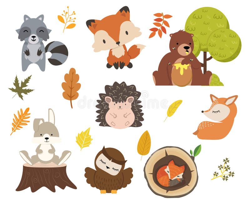 Cute Woodland Forest Animals Cartoon Character Set Stock Vector ...