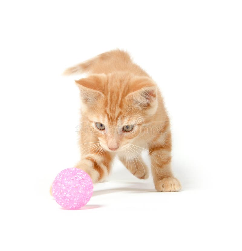 Cute yellow kitten playing with ball