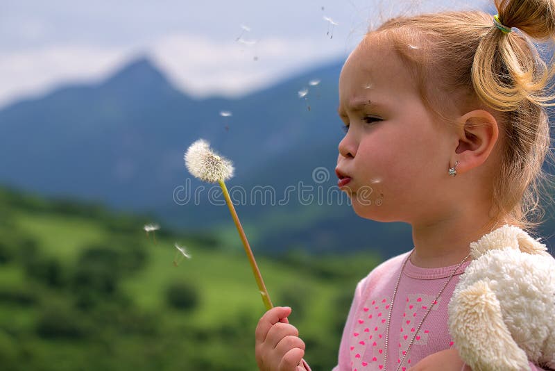 Cute young little girl blowing dandelion in sunny day.