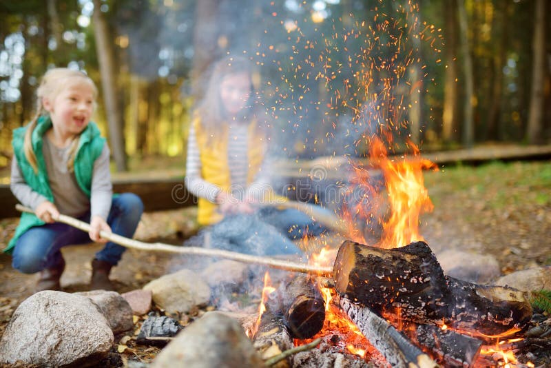 Cute Young Sisters Roasting Hotdogs on Sticks at Bonfire. Children ...