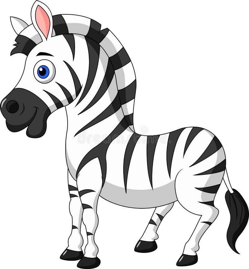 Cute zebra cartoon. 