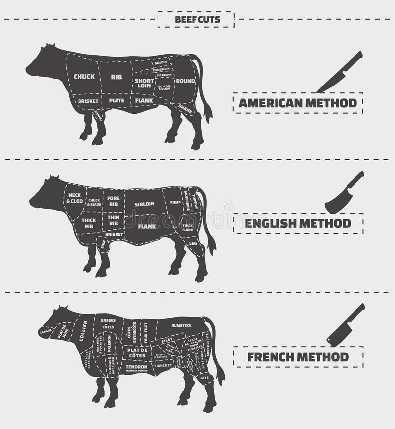 Cuts of beef. American, english and french method.