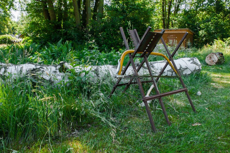 Cutting a Birch with a Handsaw, Hacksaw Stock Image Image of