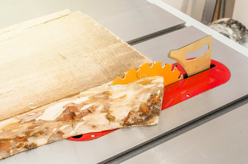 Cutting the Board on a Circular Saw in a Woodworking Stock