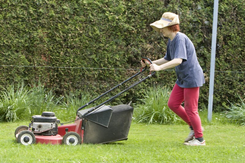 Cutting grass stock photo. Image of growth, clipper, cutting 9268744