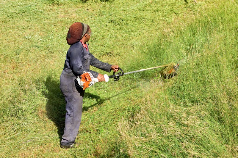 Cutting Grass in the Caribbean Stock Image Image of trimmer, working