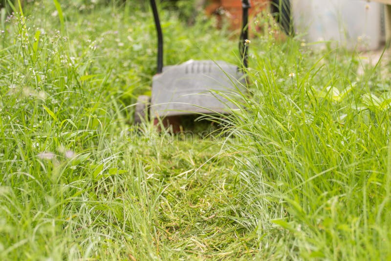 Lawnmower Cutting Overgrown Grass Stock Photo Image of growing, mower