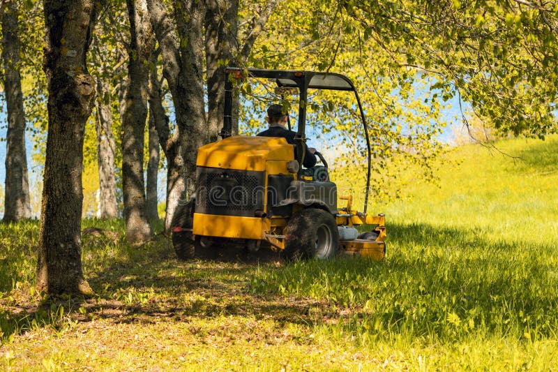 Cutting the Grass of on a Tractor Lawn Mower Stock Photo Image of maintenance, work 277414994