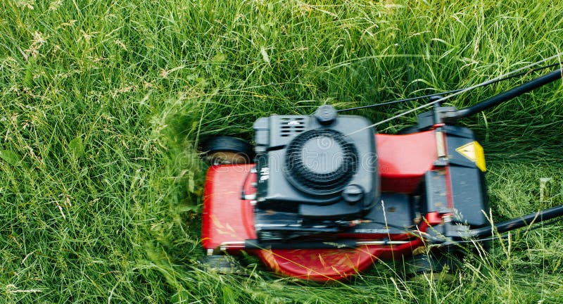 A petrol lawn mower stock image. Image of strip, tall - 245734513