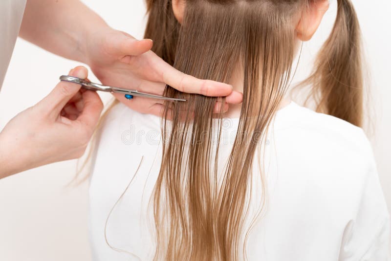 Cutting Hair Close-up. Professional Scissors. Saving Money at a Beauty Salon. Stock Photo - Image of model, professional: 221001082 Cutting Hair Close-up. Professional Scissors. Saving Money at a Beauty Salon. Stock Photo - Image of model, professional: 221001082
