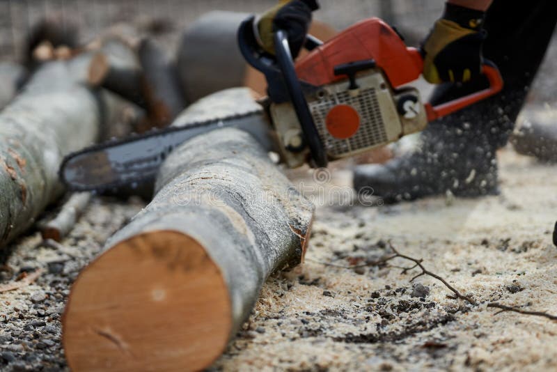 Cutting Logs with the Chainsaw Stock Photo Image of rural, people