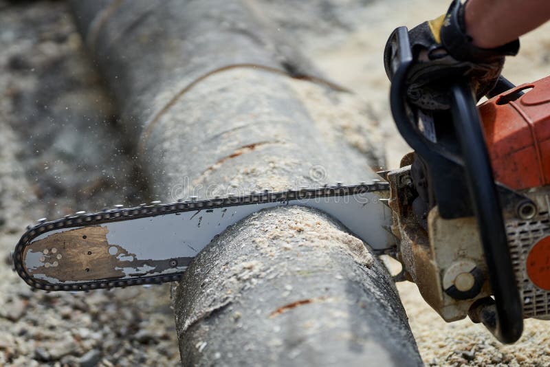 Cutting Logs with the Chainsaw Stock Image Image of person, farmer