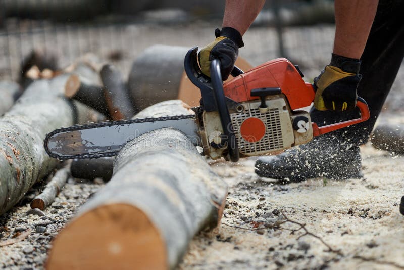 Cutting Logs with the Chainsaw Stock Photo Image of countryside, logs