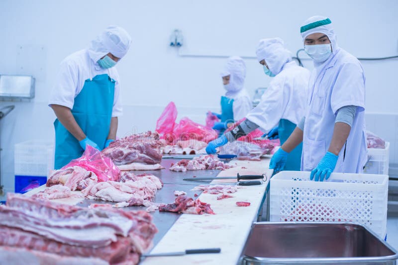 1,003 Slaughterhouse Worker Photos Free & RoyaltyFree Stock Photos