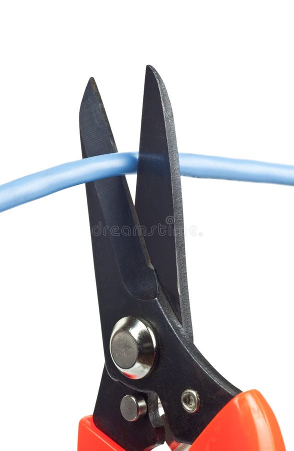 Network cable cut off stock photo. Image of laptop 1327604