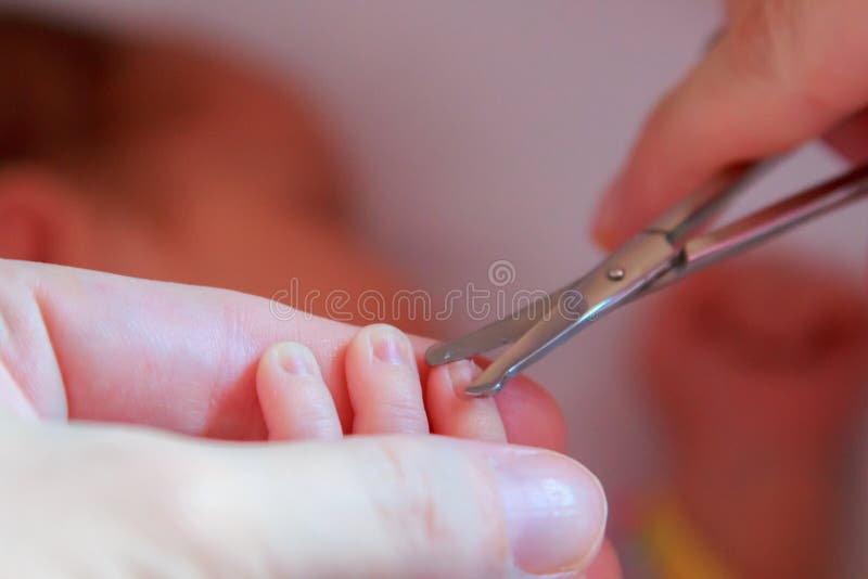 Cutting Newborn Baby Nails with Scissors Close Stock Image - Image of  babynails, cheerful: 115011669